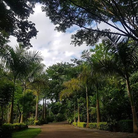 Samnaree Garden House Hotel Ban Phae Mai Exterior photo